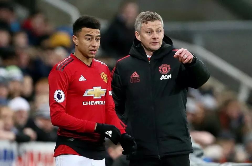 坚强的意志 坚强的意志